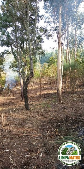 Limpeza de terrenos