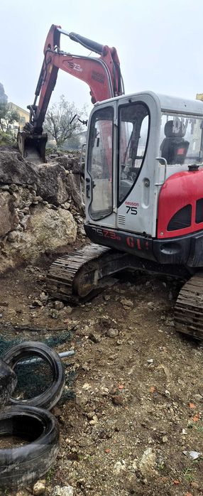 Mini giratoria walker neusson 8 toneladas