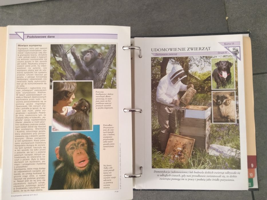 Encyklopedia zwierząt od A do Z - segregator z zawartością