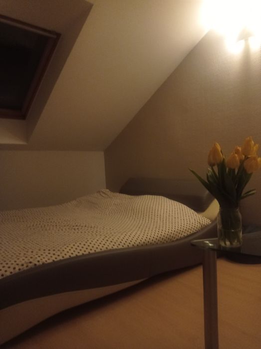 Pokój, apartament do wynajęcia na doby 60 zl