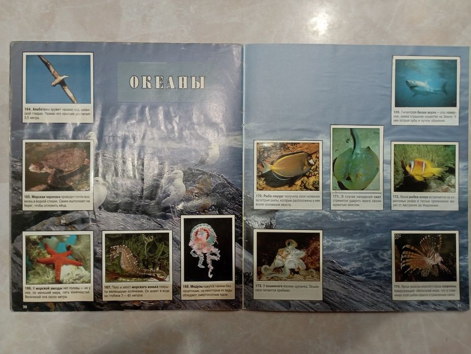 Мир животных panini