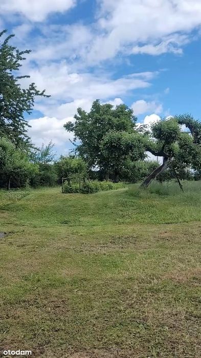 Rezerwacja - Gospodarstwo | 2,30 ha | Rudziczka k. Prudnika