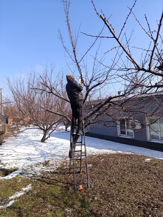 Обрезка деревьев, хвойных ,спил, коронация, покос травы, вывоз мусора.