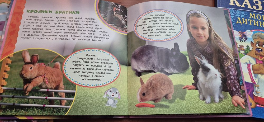 Комплект дитячих книг, 5шт, (1 в подарунок)
Комплект Комплект дитячих