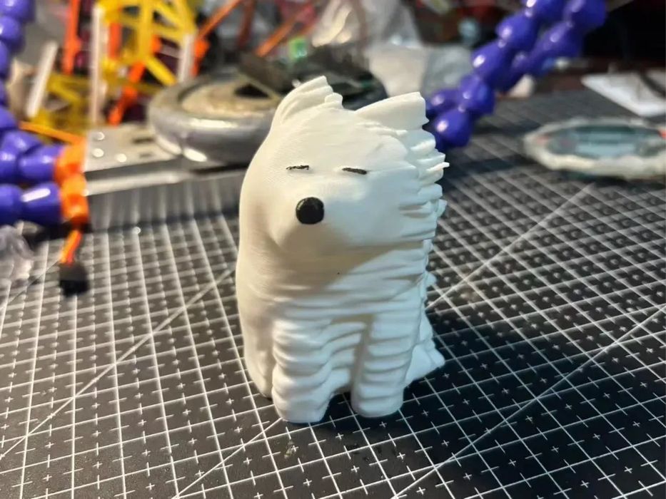Cão Samoyed Despenteado (Cão Rabiscado)