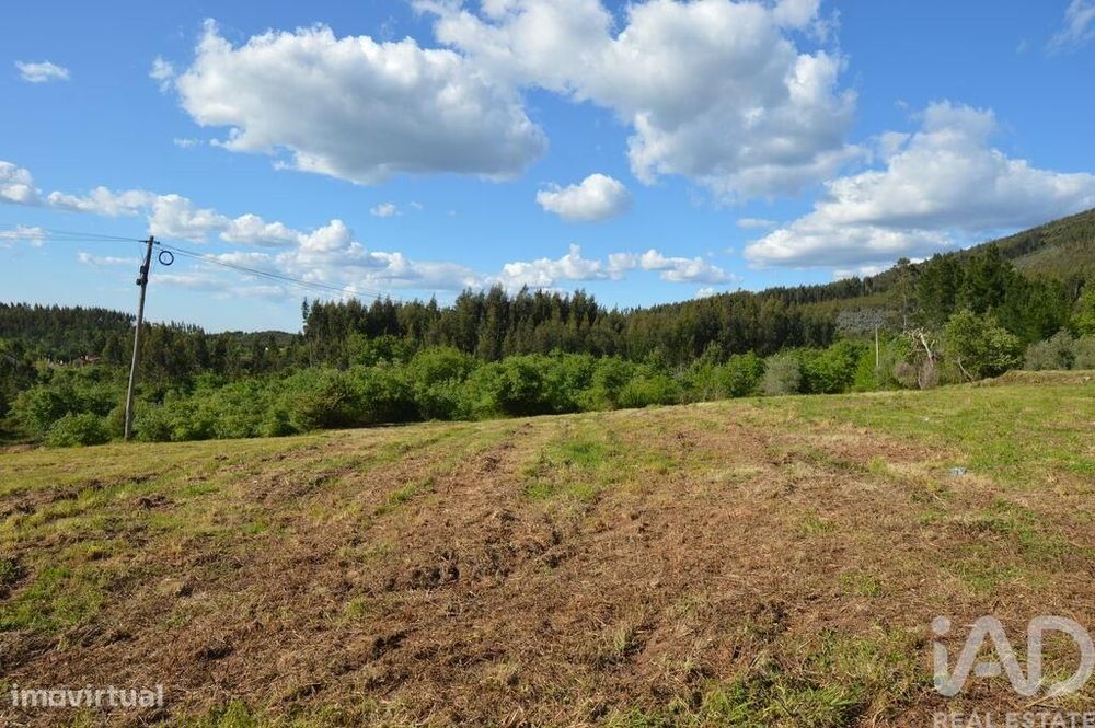 Terreno para construção em São Miguel, Santa Eufémia e Rabaçal