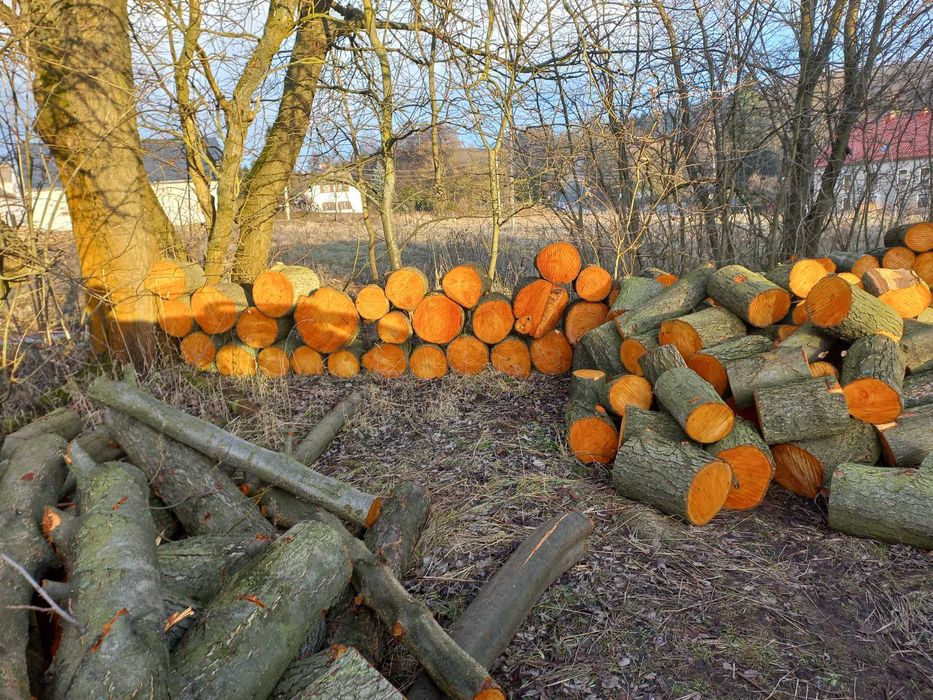 Drewno opałowe,sprzedam