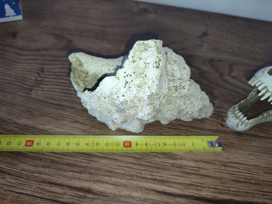 Wyposażenie akwarium, ozdoby