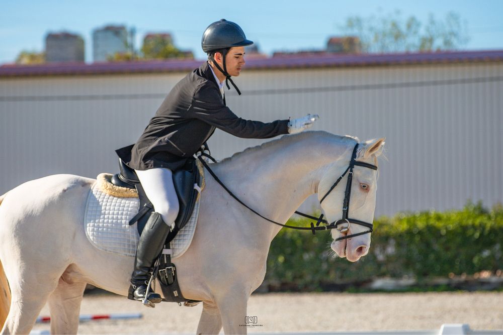 Cavalo cruzado, 6 anos, Letra P