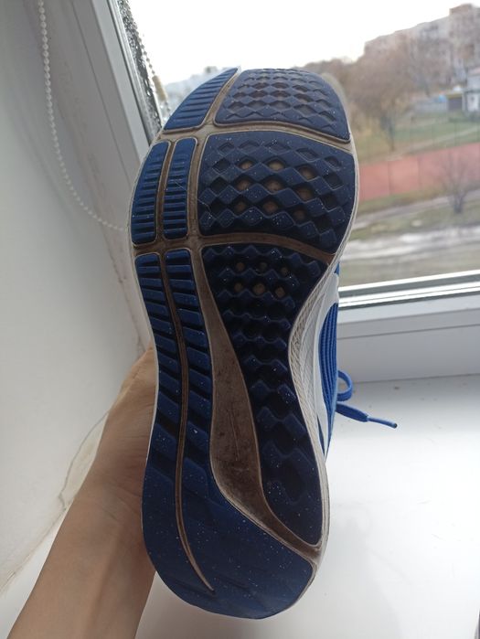 Кросовки nike Pegasus