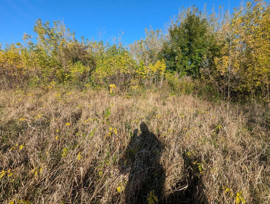 Продаж земельної ділянки