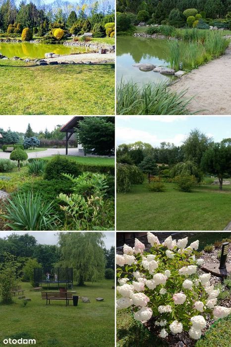 Wyjątkowa Osada Rodzinna, Kaszuby, 3 Domy, Drewniany Dom Biesiadny