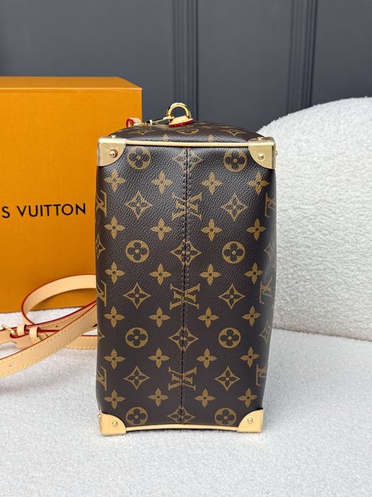 Сумка Louis Vuitton Speedy Bandouliete 25 Monogram Canvas
