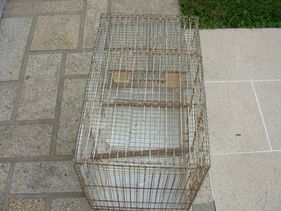 Gaiola Grande com Rede