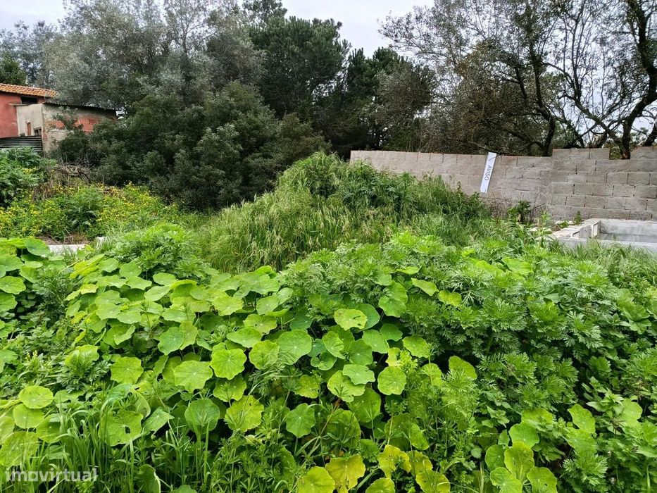 Terreno Urbano com 333m2 – Localização Premium na Charneca de Caparica