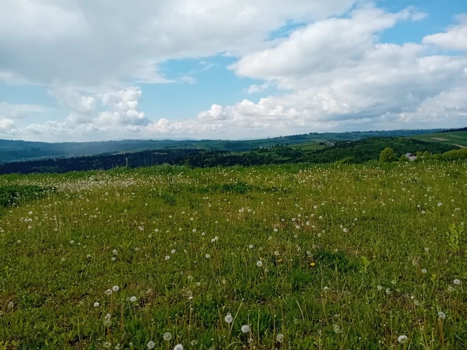 Działka budowlana 0.22ha