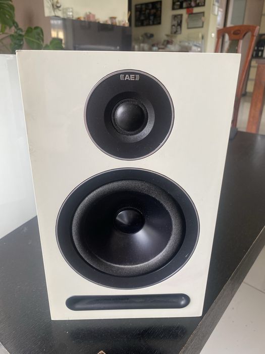 Acoustic Energy AE 101 para