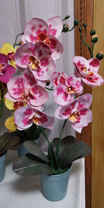 Орхідеї квіти для декору поларунок