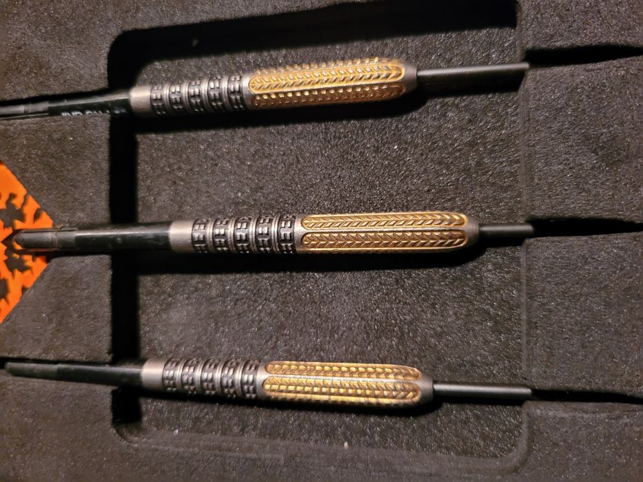 Lotki target raymond van barneveld 25 gram