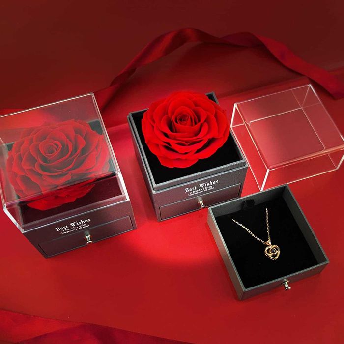 Colar de presente, flor rosa real encantada