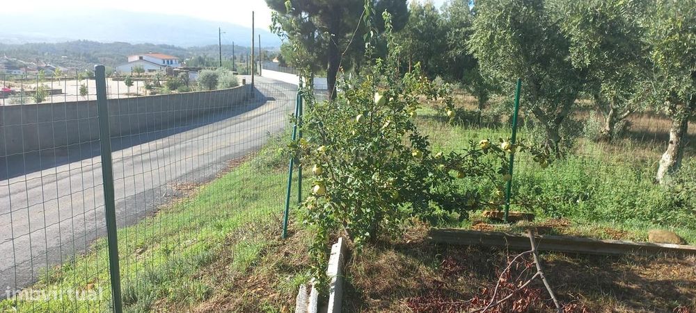 Encantadora Propriedade com construção e vista para Montanha