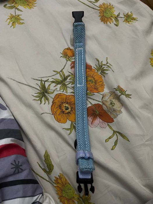 Нашийник для собаки