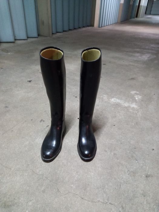 Botas de hipismo/hiquitação novas