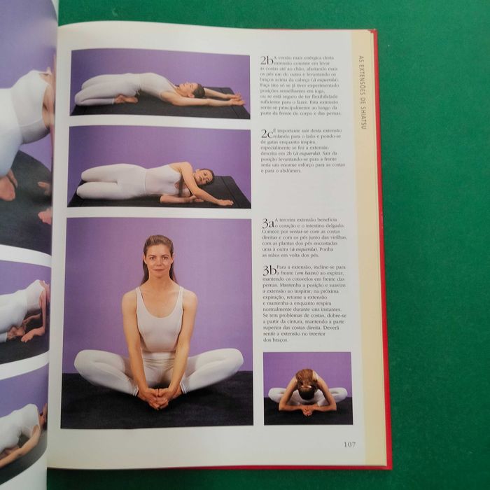 Manual de Shiatsu  - Gerry Thompson