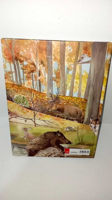 Há fogo na Floresta - Ana Maria Magalhães