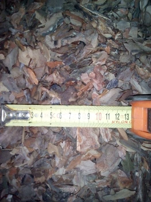 Кора сосновая от производителя для мульчирования и ландшафта от 40грн ...