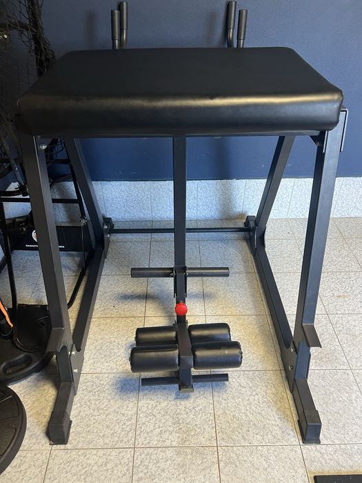 Gym Machine (Reverse Hyper)436988529250805761