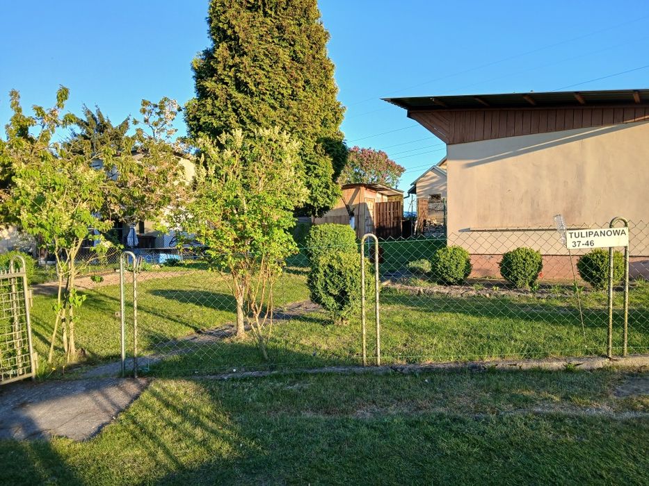 Działka ROD Szczecin Skolwin