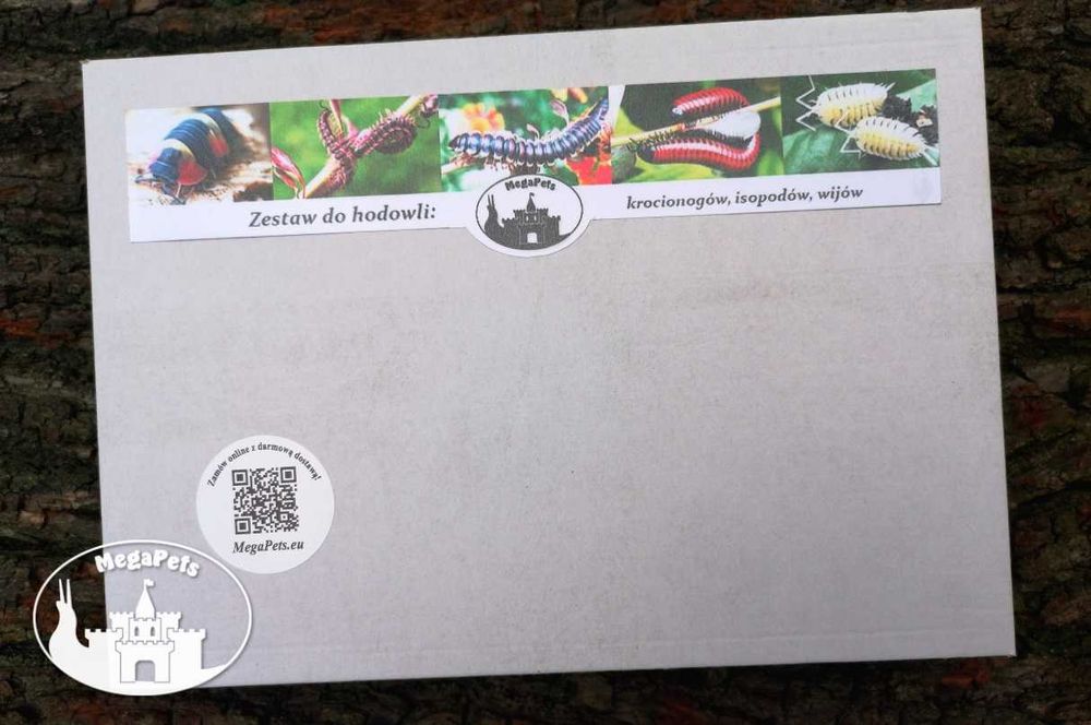 Zestaw do hodowli + Faunabox wije isopody kulanki
