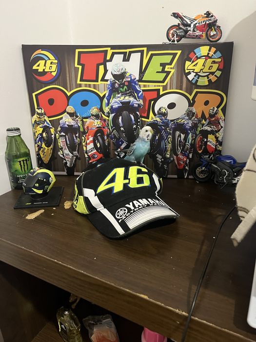 Cedo casal de piriquito