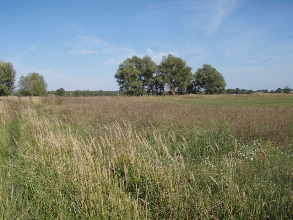 Продам земельну ділянку с.Сувід