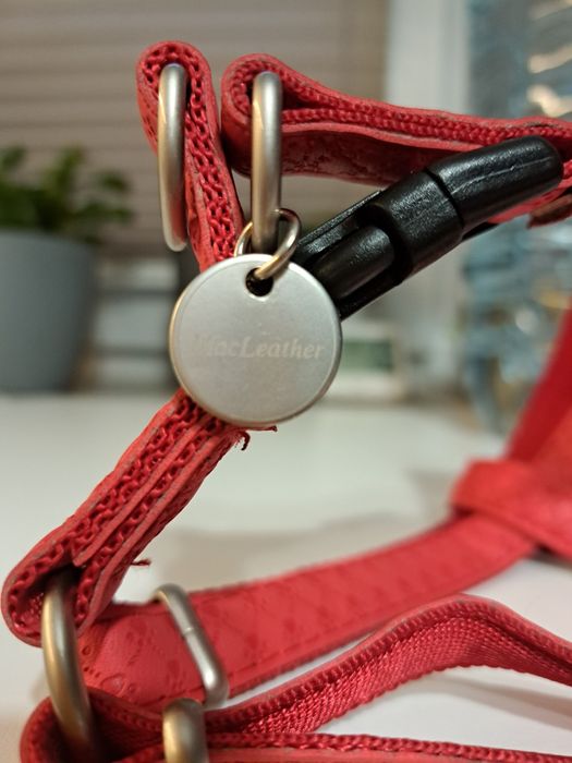 Szelki dla psa MacLeather