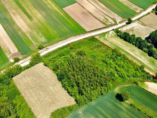 Pałecznica, 4 działki, 95 ar. WZ. Prywatnie.