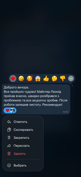 Професійні  майстри  по будинку та квартирі  , муж на час )