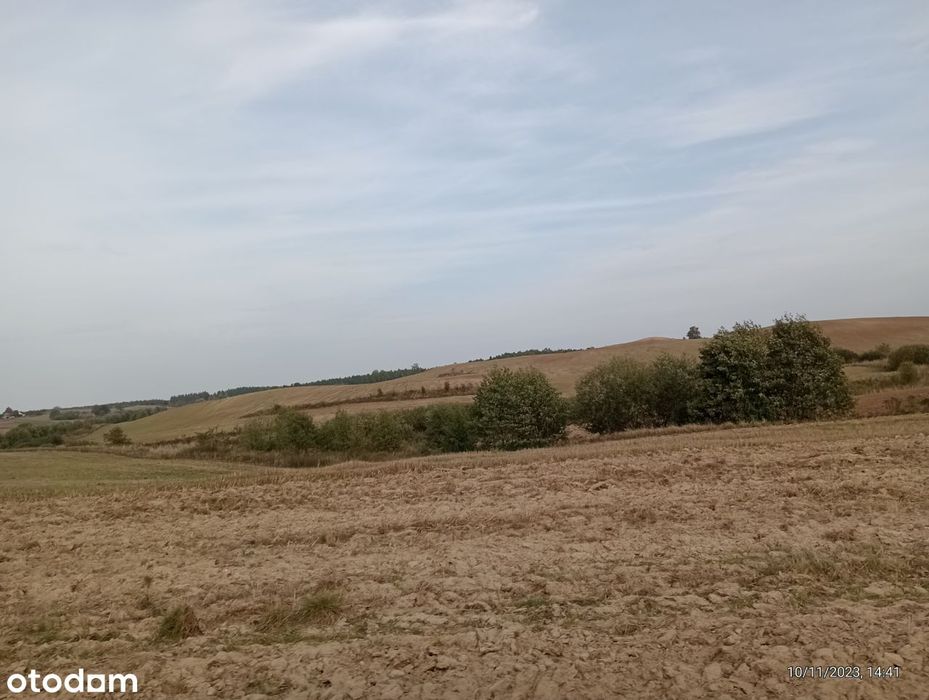 235 ha ziemi rolnnej klasa IV - Widok 2