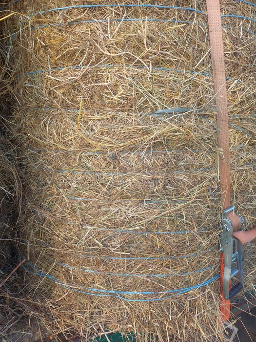 Venda de feno e palha