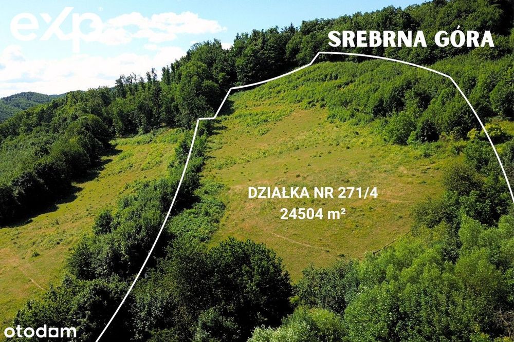 Super inwestycja, Srebrna Góra