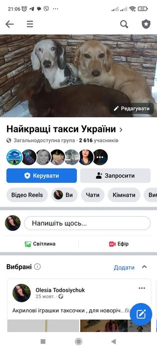 Руді дівчатка і хлопчики