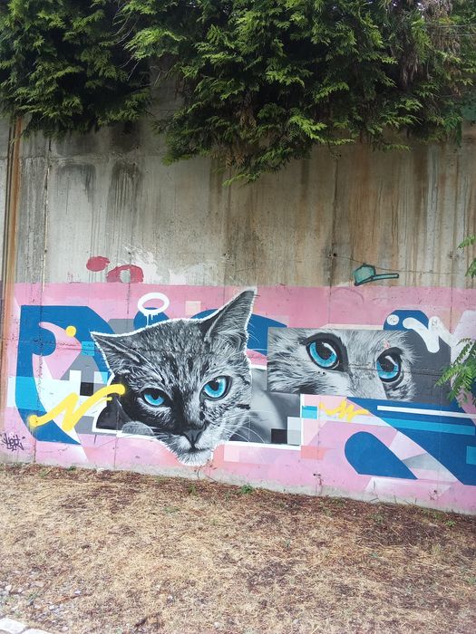 Guia turístico no norte de Portugal