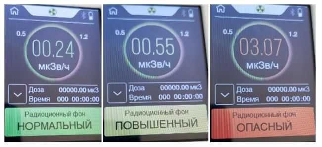 Greentest ECO 6T Тестер харчових продуктів, якості води та радіації.
