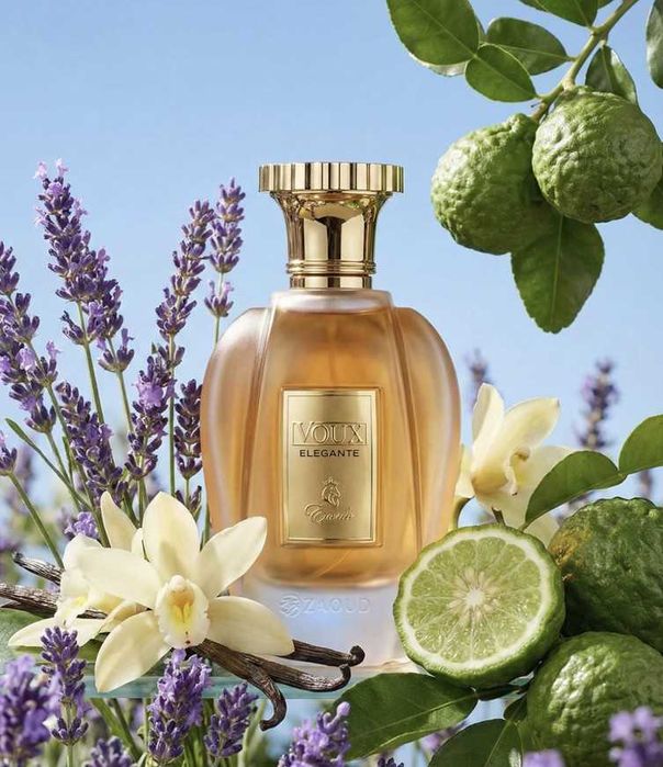 Paris Corner Emir Voux Elegante Eau De Parfum 100ml