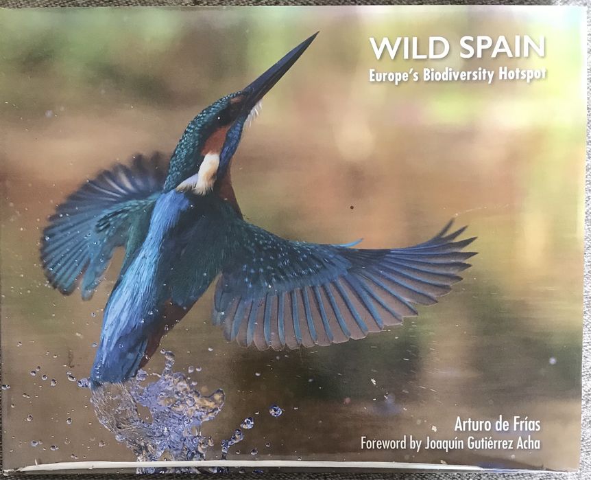 Fauna Ibérica Biologia Wild Spain