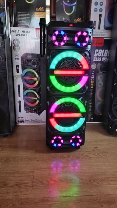 Караоке акустики SinG82(Bluetooth,USB,SD,FM, пультДУ) 2безпроводных ми