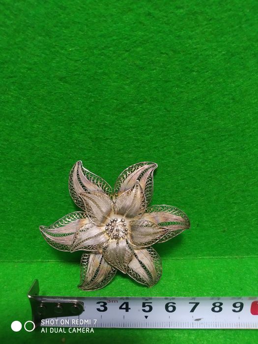 Винтажная большая серебряная брошь.Европа.