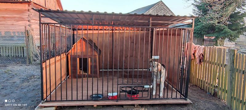 *2mx2m- kojec, box, klatka dla pieska!!