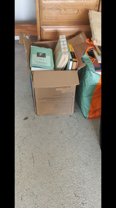 Lote de dezenas de livros